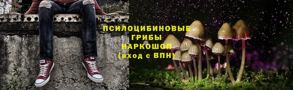 ГАЛЛЮЦИНОГЕННЫЕ ГРИБЫ Иноземцево