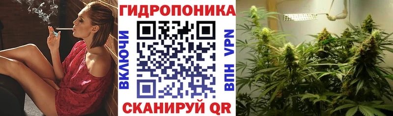 МАРИХУАНА гибрид  Иннополис 